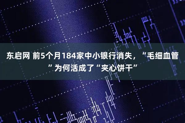 东启网 前5个月184家中小银行消失，“毛细血管”为何活成了“夹心饼干”