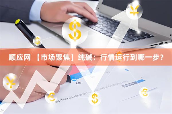 顺应网 【市场聚焦】纯碱：行情运行到哪一步？