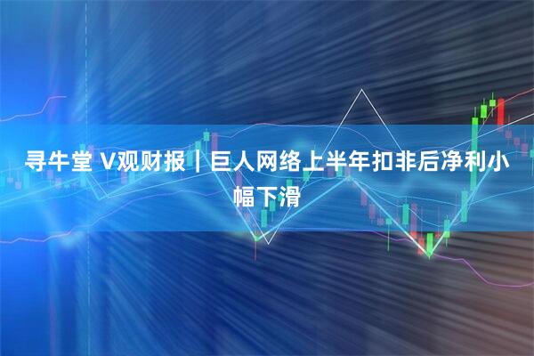寻牛堂 V观财报｜巨人网络上半年扣非后净利小幅下滑