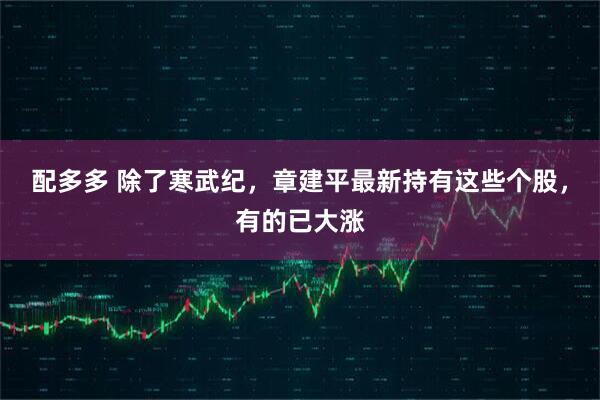 配多多 除了寒武纪，章建平最新持有这些个股，有的已大涨