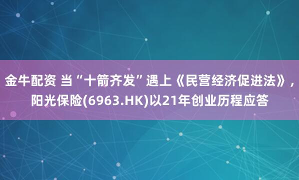 金牛配资 当“十箭齐发”遇上《民营经济促进法》，阳光保险(6963.HK)以21年创业历程应答
